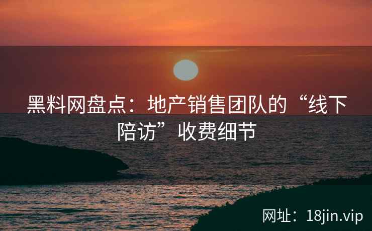黑料网盘点：地产销售团队的“线下陪访”收费细节