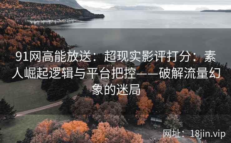 91网高能放送：超现实影评打分：素人崛起逻辑与平台把控——破解流量幻象的迷局