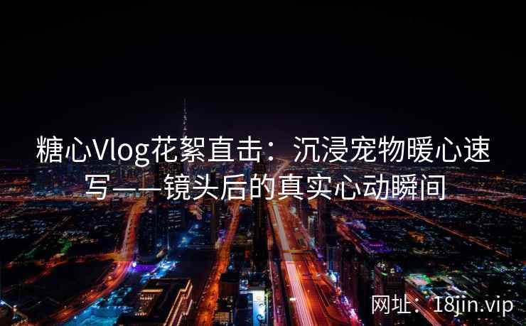 糖心Vlog花絮直击：沉浸宠物暖心速写——镜头后的真实心动瞬间