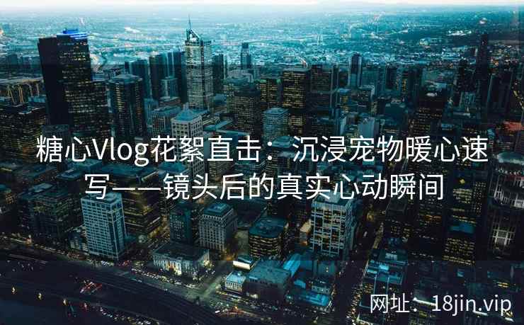 糖心Vlog花絮直击：沉浸宠物暖心速写——镜头后的真实心动瞬间