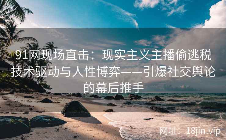 91网现场直击：现实主义主播偷逃税技术驱动与人性博弈——引爆社交舆论的幕后推手
