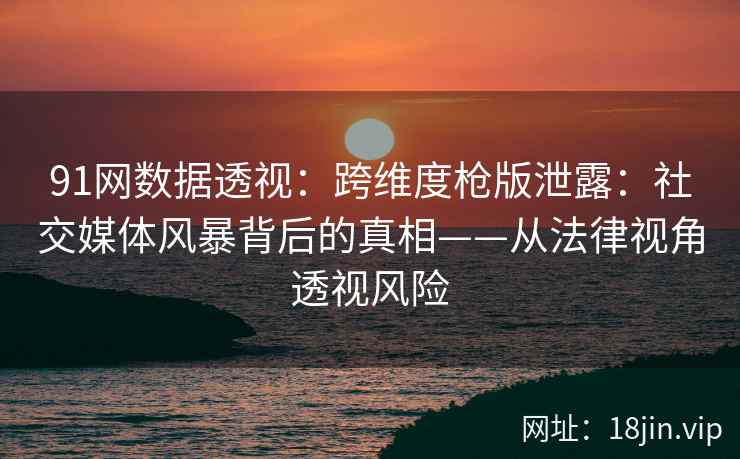 91网数据透视：跨维度枪版泄露：社交媒体风暴背后的真相——从法律视角透视风险