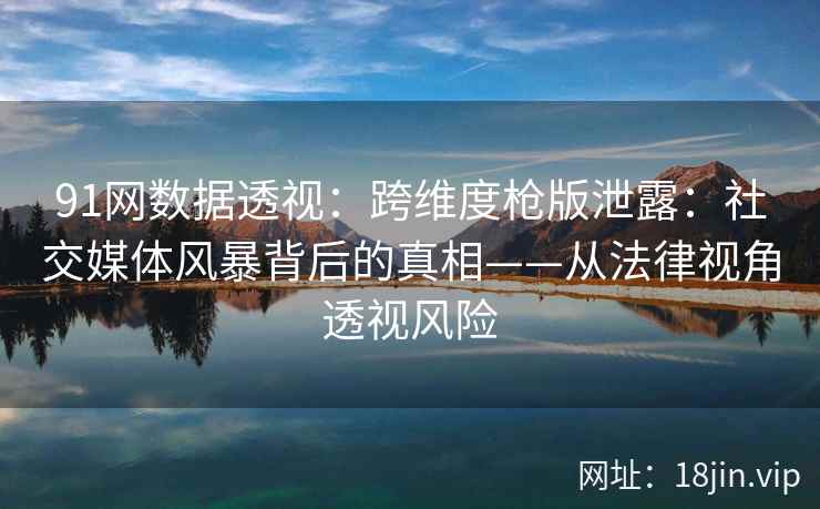 91网数据透视：跨维度枪版泄露：社交媒体风暴背后的真相——从法律视角透视风险