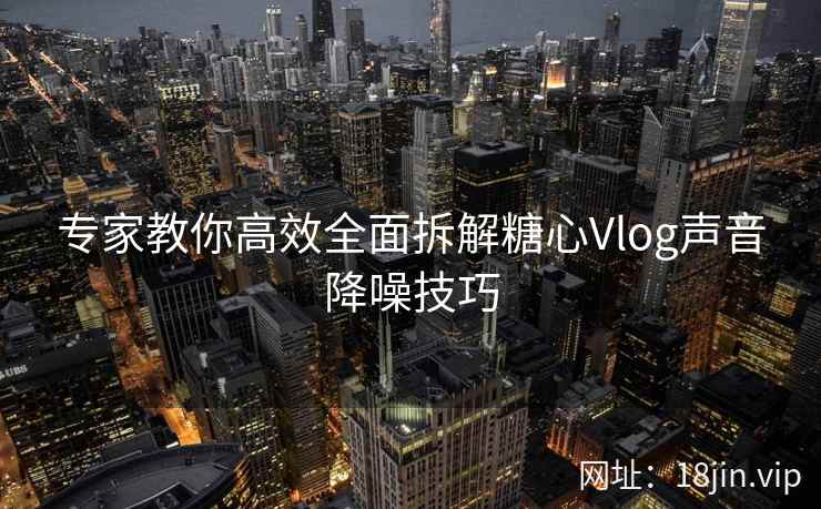 专家教你高效全面拆解糖心Vlog声音降噪技巧