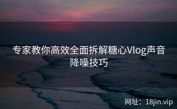 专家教你高效全面拆解糖心Vlog声音降噪技巧
