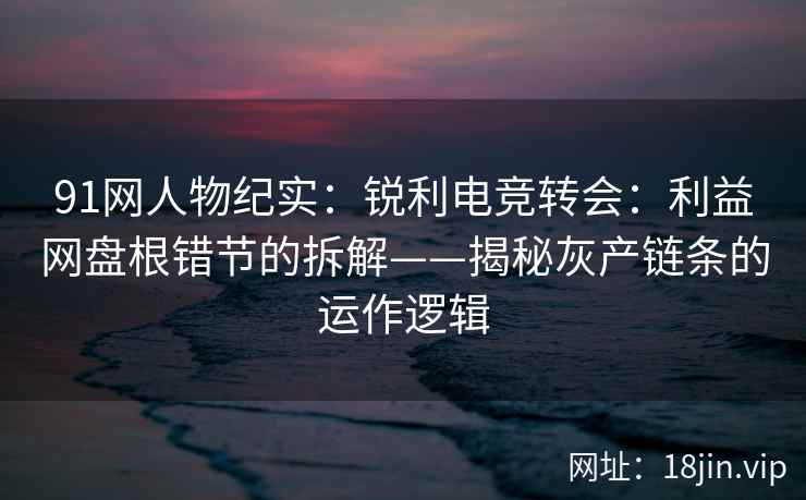 91网人物纪实：锐利电竞转会：利益网盘根错节的拆解——揭秘灰产链条的运作逻辑  第2张