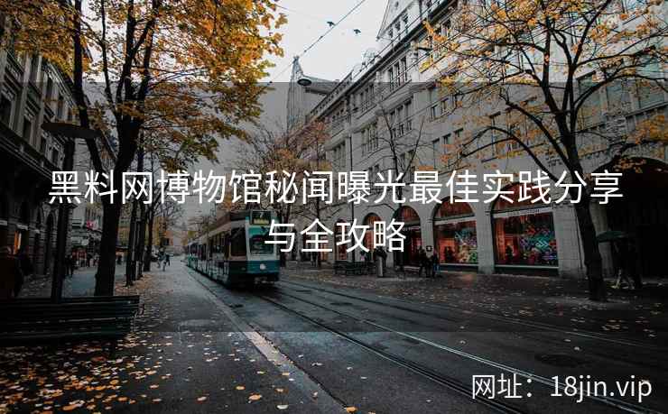 黑料网博物馆秘闻曝光最佳实践分享与全攻略
