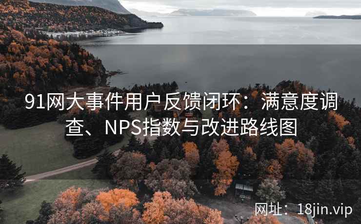 91网大事件用户反馈闭环：满意度调查、NPS指数与改进路线图  第2张