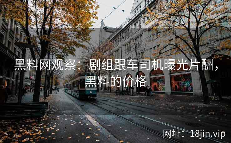 黑料网观察：剧组跟车司机曝光片酬，黑料的价格