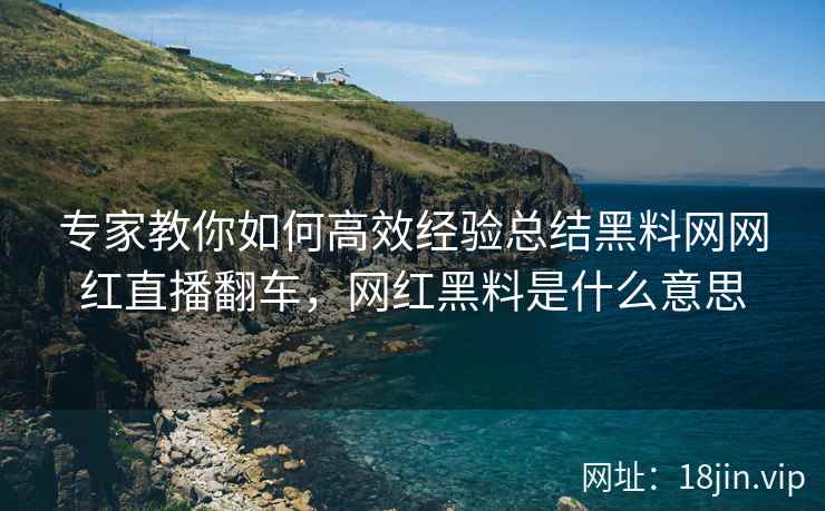 专家教你如何高效经验总结黑料网网红直播翻车，网红黑料是什么意思  第2张