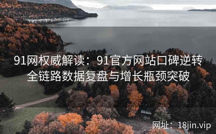 91网权威解读：91官方网站口碑逆转全链路数据复盘与增长瓶颈突破